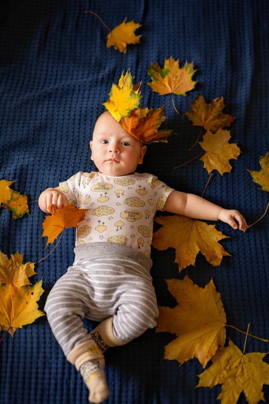 осень Король листьев фото превью