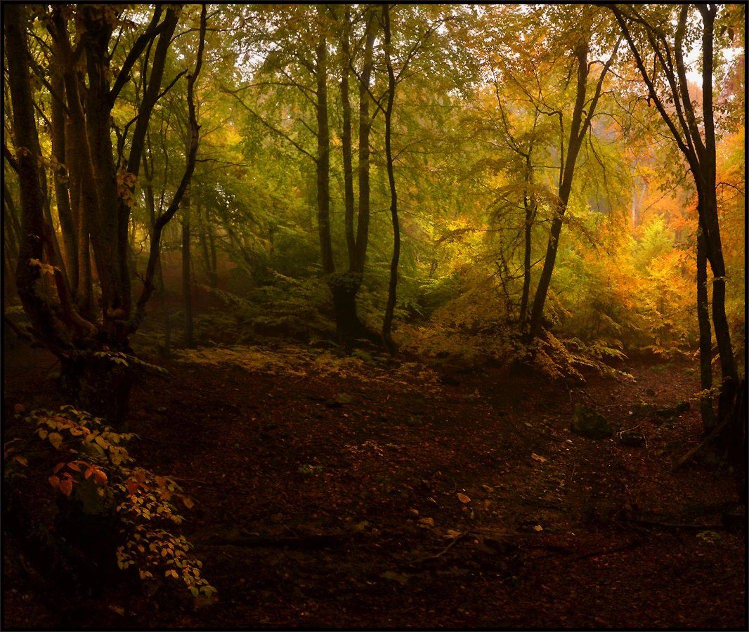 , Владимир Метцгер