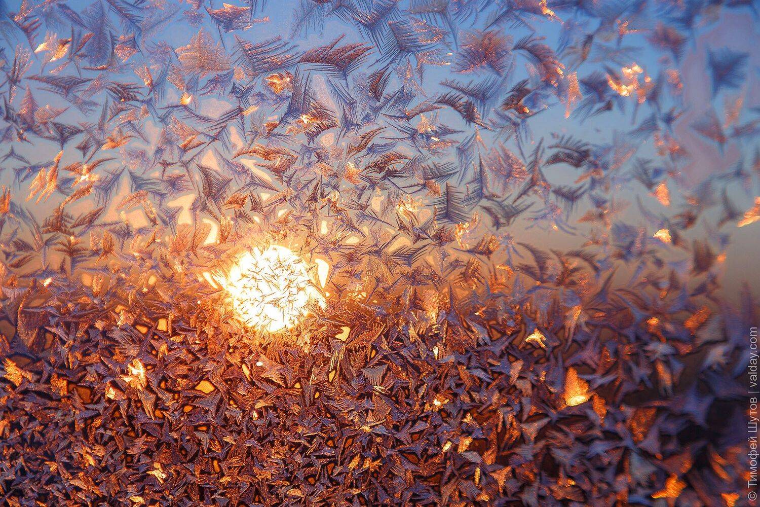 валдай, Тимофей Шутов