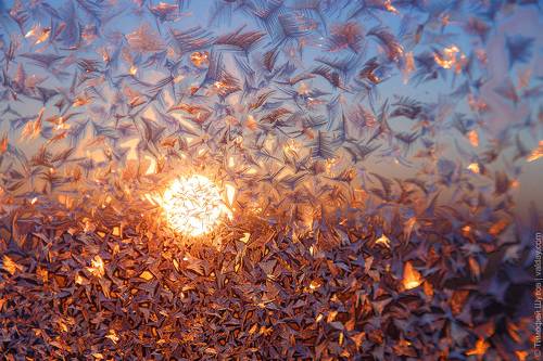 Однажды у фотографа на балконе