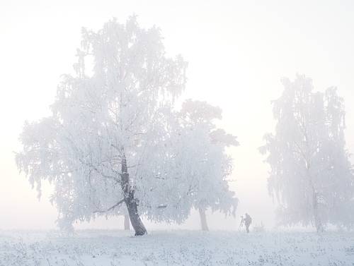 О зимней фотографии...