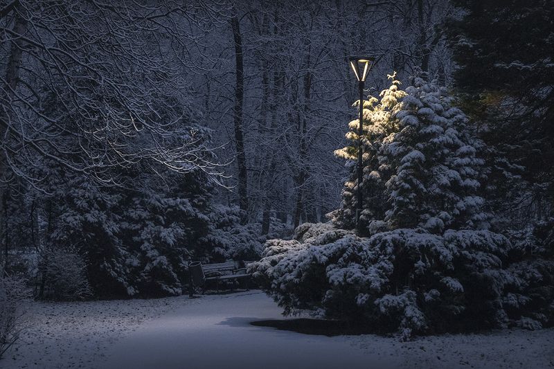 First snow ... фото превью