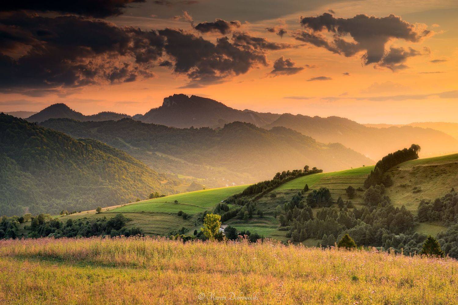 poland, landscape, mountainscape, carpathians, pieniny, stary wierch, trzy korony, szlachtowa, jarmuta, mountains, meadow, nature, sky, golden hour, sunset, outdoors, trees, tullusion,  Marcin Dobrowolski