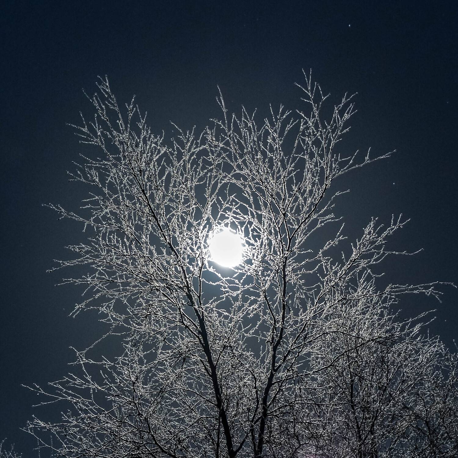 , Sergey Kaverin