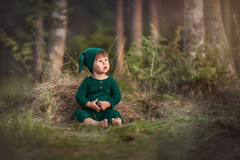 лето, природа, ребенок, малыш, дети, мальчик Лесной гном фото превью