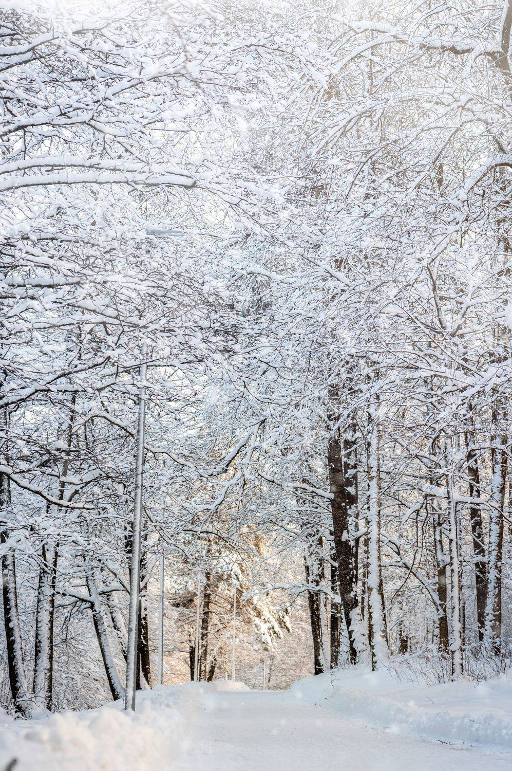 пейзаж, зима, снег, Anna Makarenkova