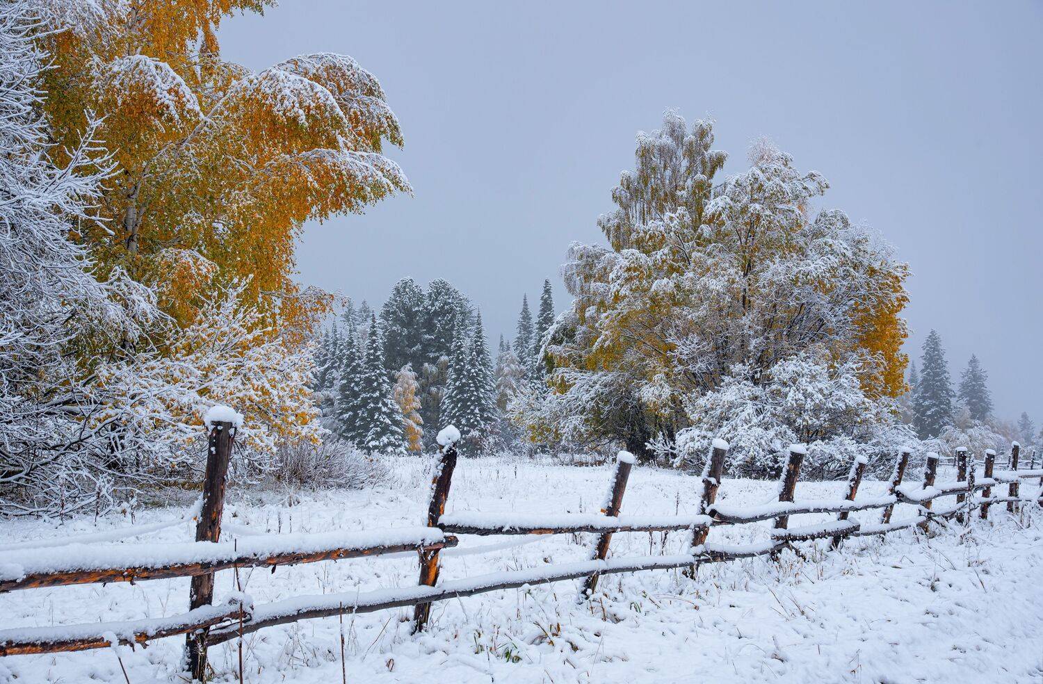 алтай. осень. горы., Евгений Дроботенко