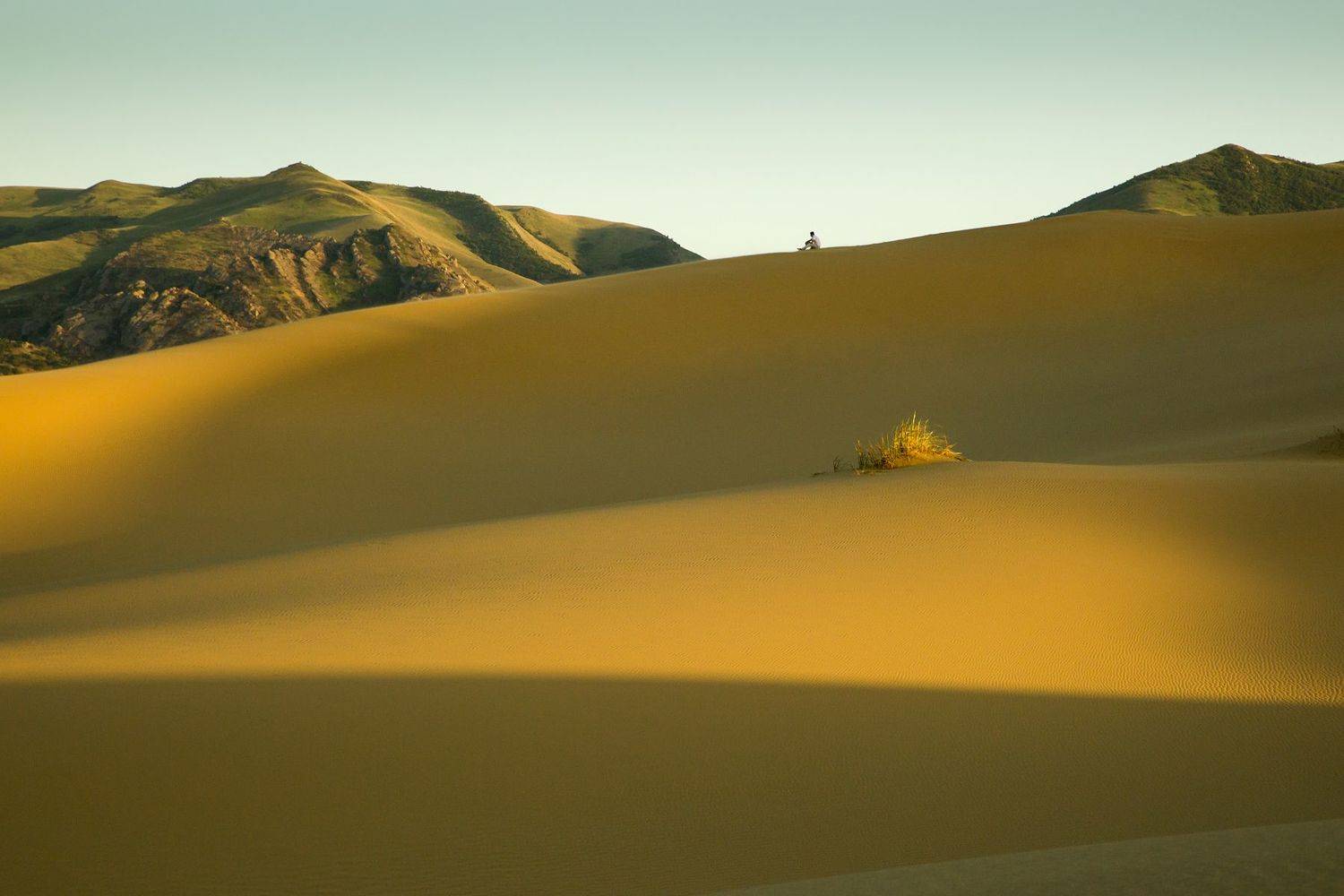 , Елена Покрепа