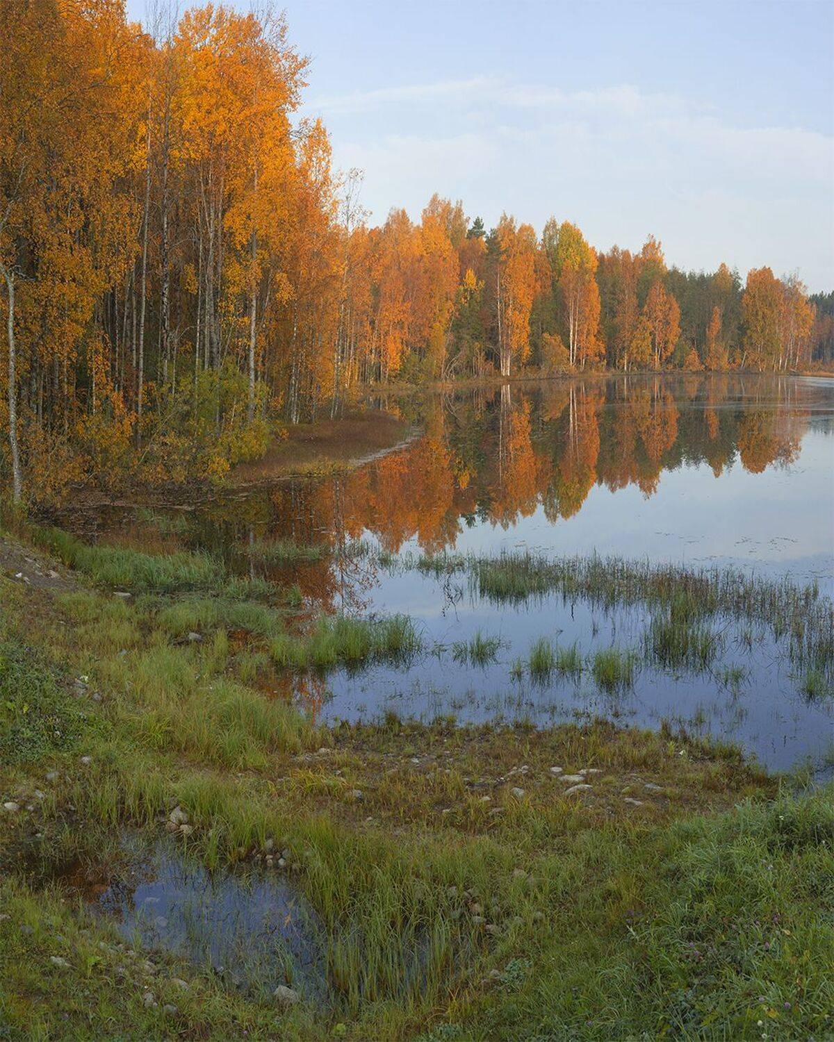 , Петр Косых