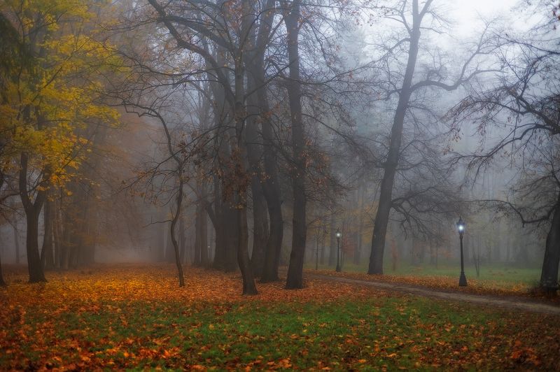 Misty Morning фото превью