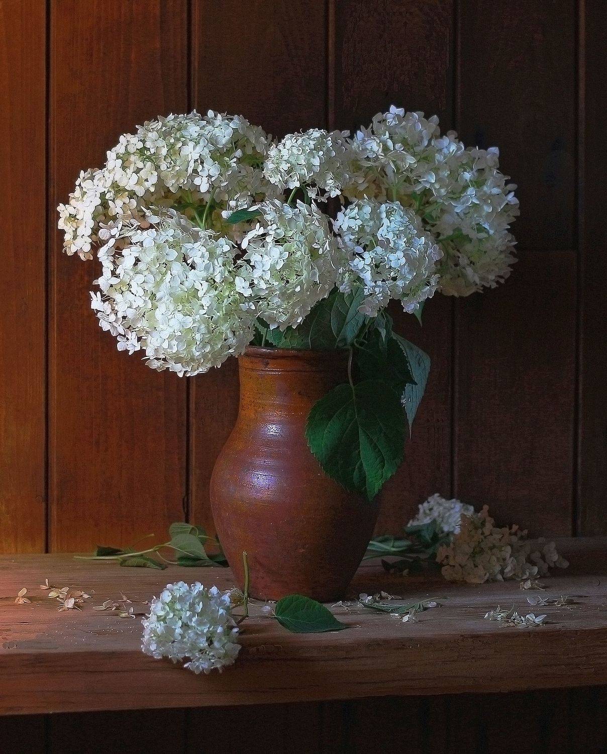 натюрморт, фотонатюрморт, лето, цветы, гортензия, наталья казанцева, Наталья Казанцева