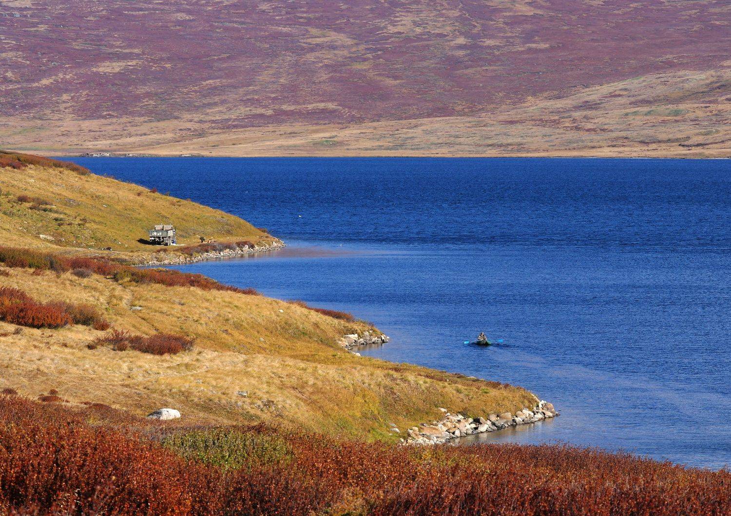 рыбаки, Укок, озеро, высокогорье, лодка, грузовик, карликовая берёзка, заросли, Дмитрий Ткаченко