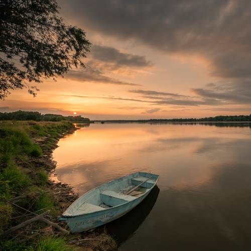 my landscapes