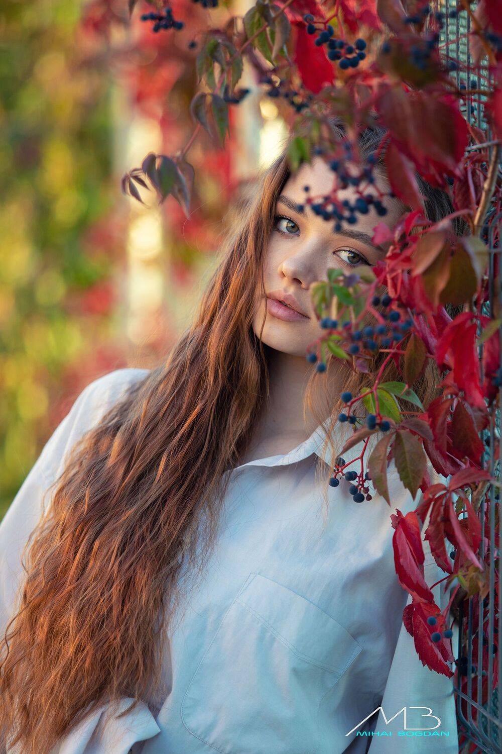 , Mihai Romeo Bogdan