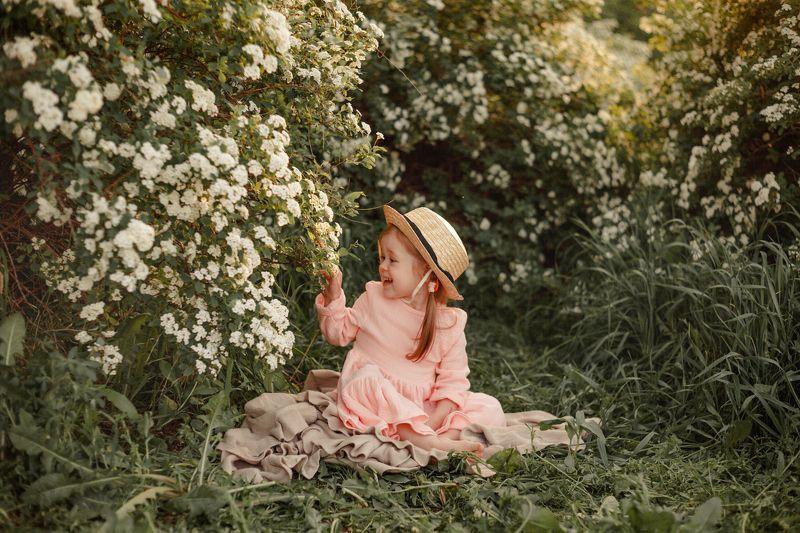 Цветущий куст фото превью