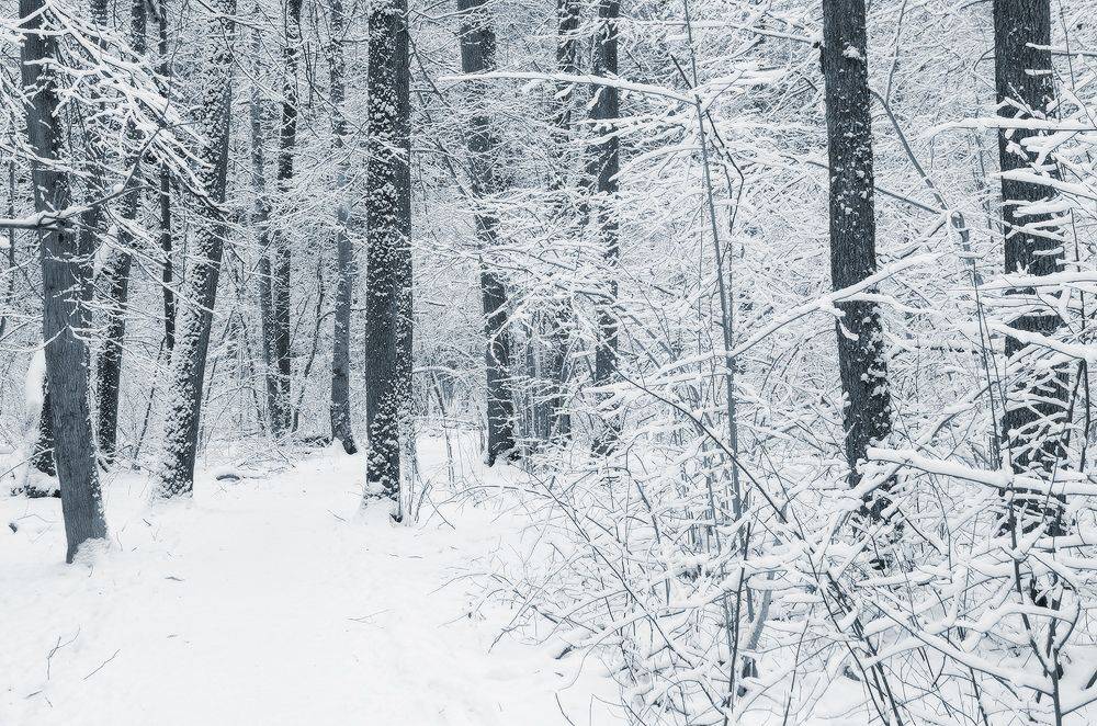 Калужская обл., Юсупов Александр