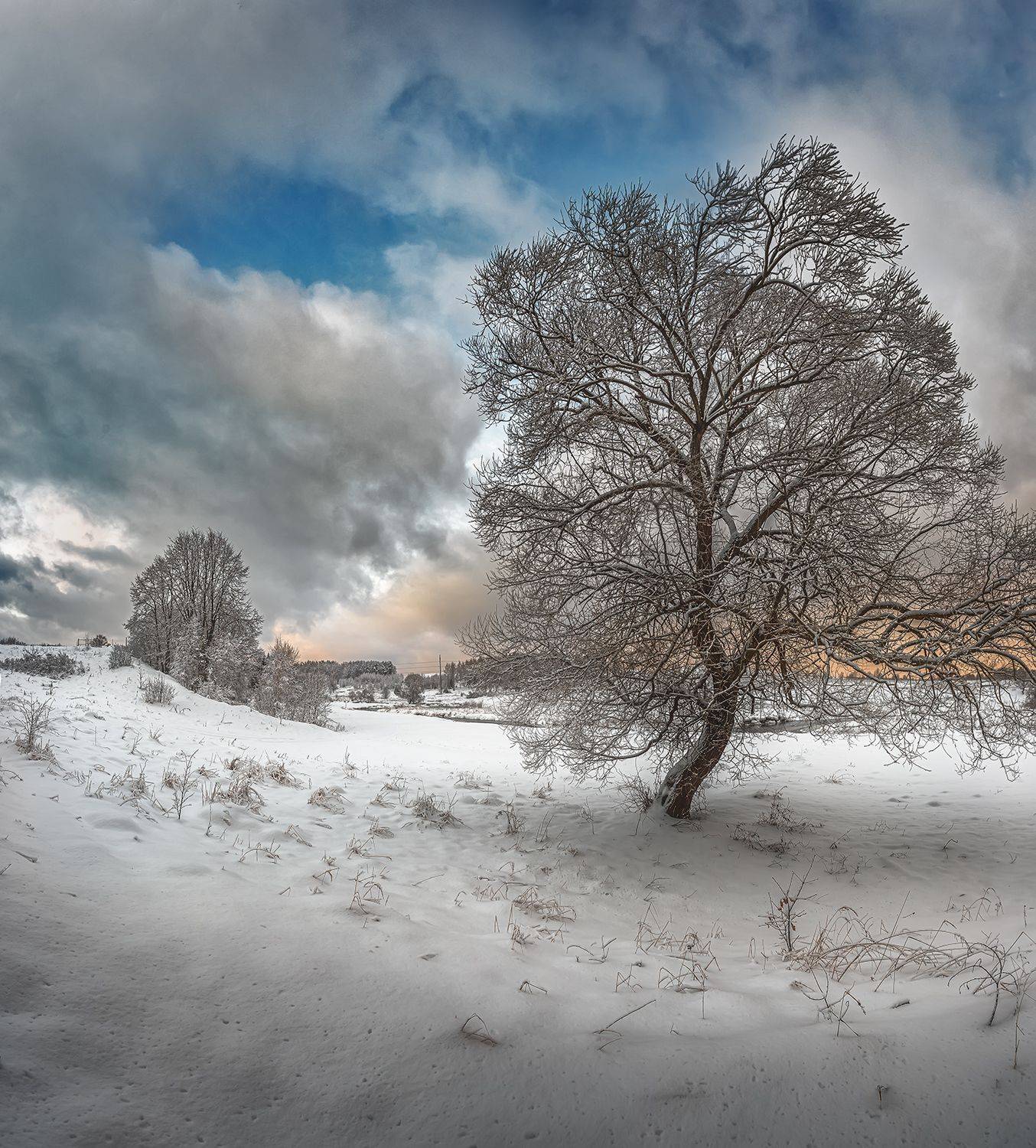 , Николай Андреев