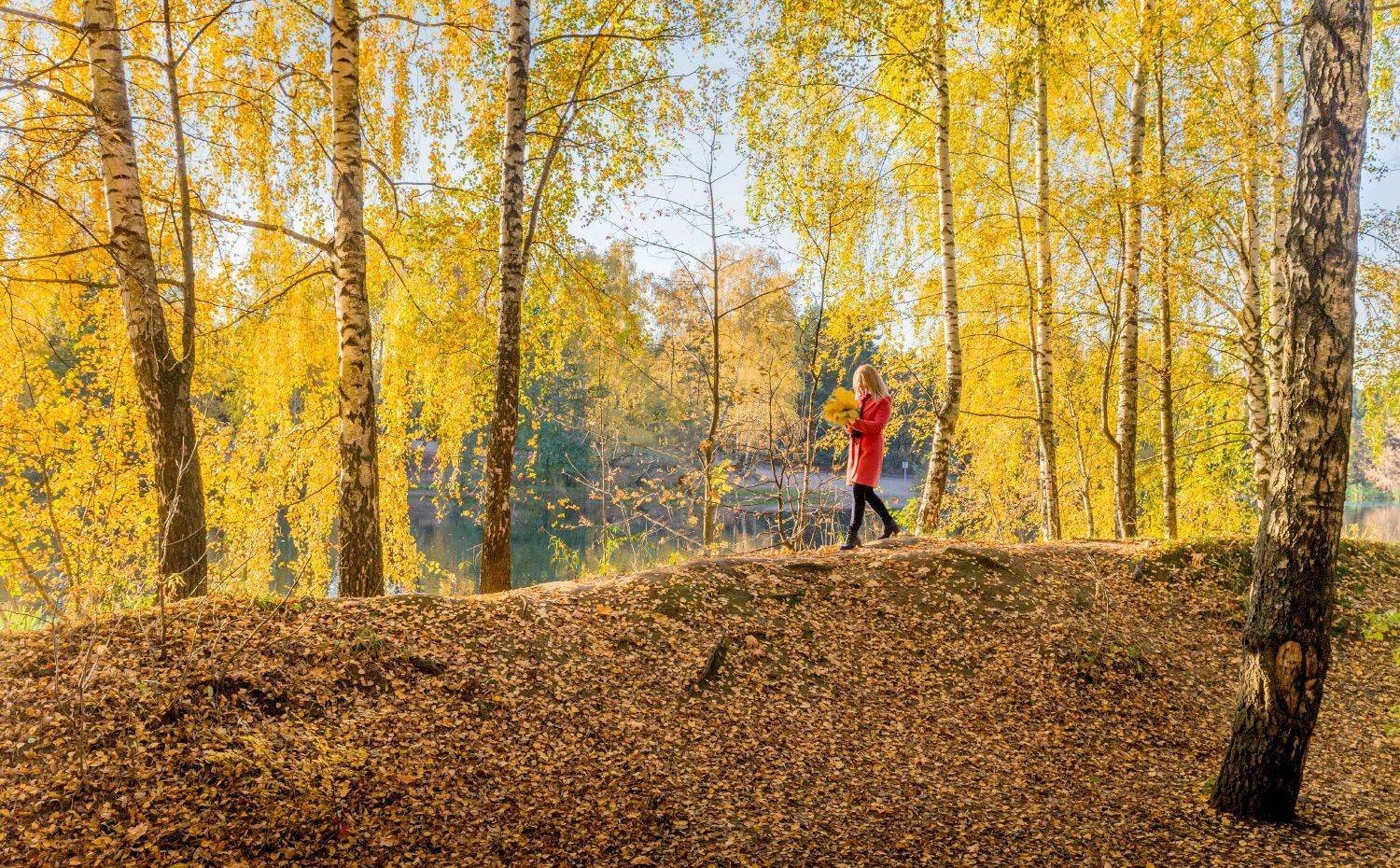 осень, солнце, листва, девушка, Виктор Климкин