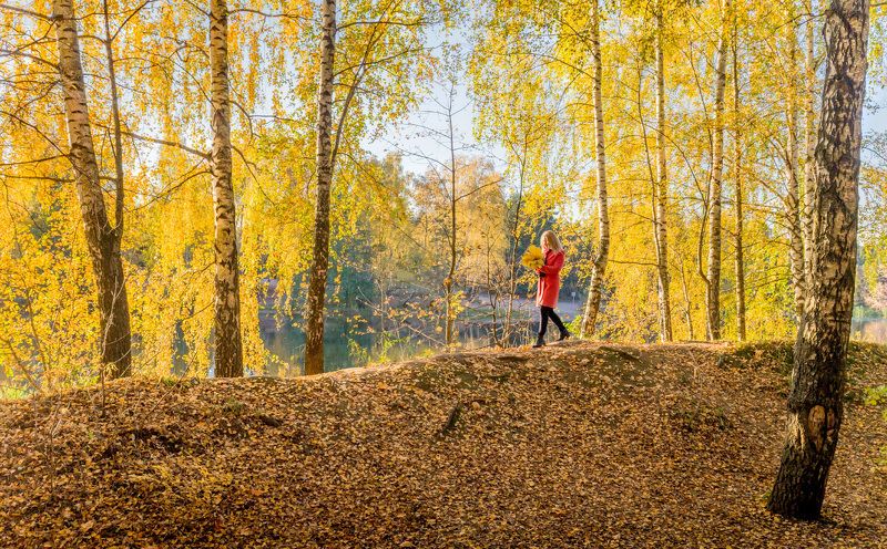 осень, солнце, листва, девушка Осень фото превью