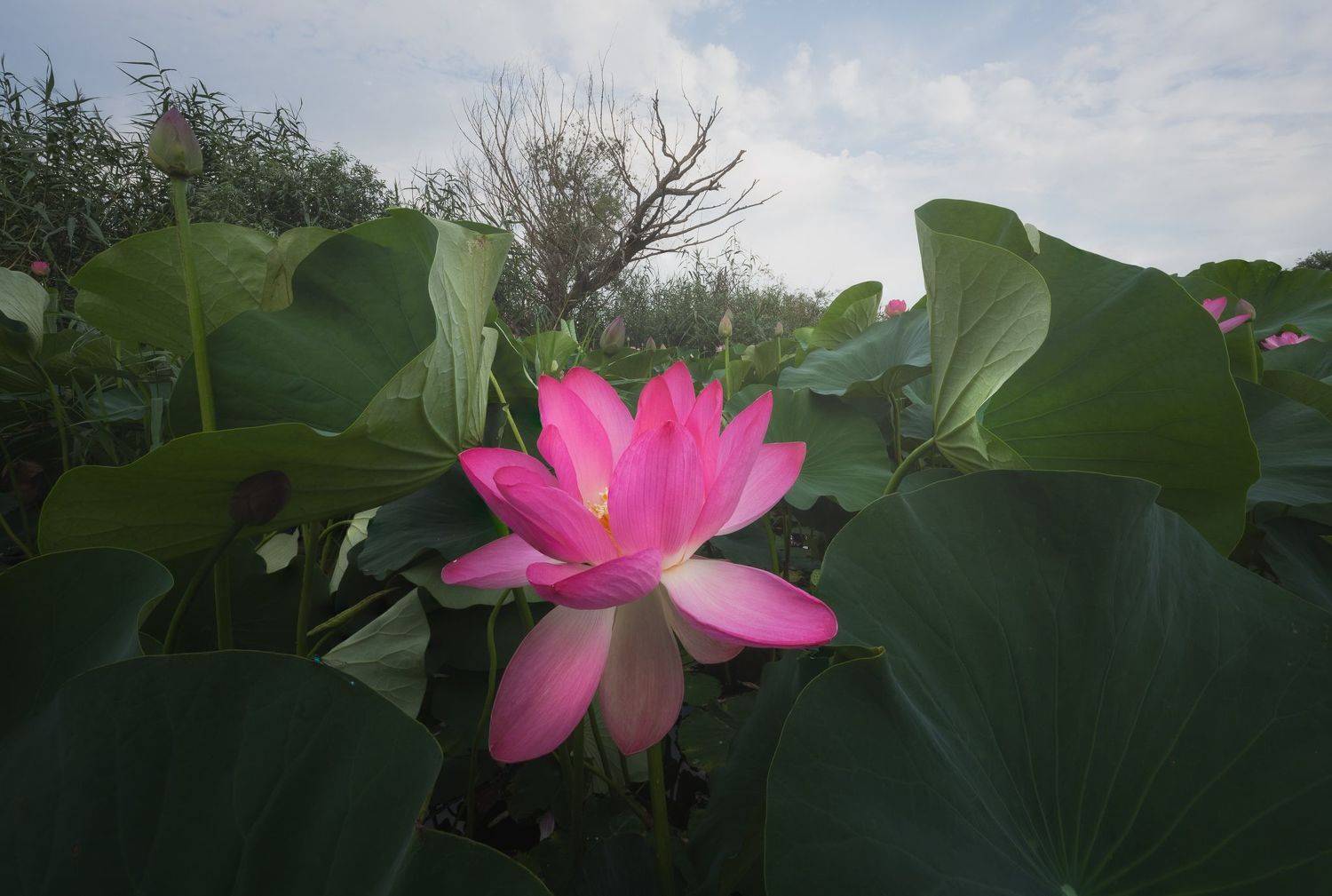 Волга, Астрахань, Даниил Коржонов