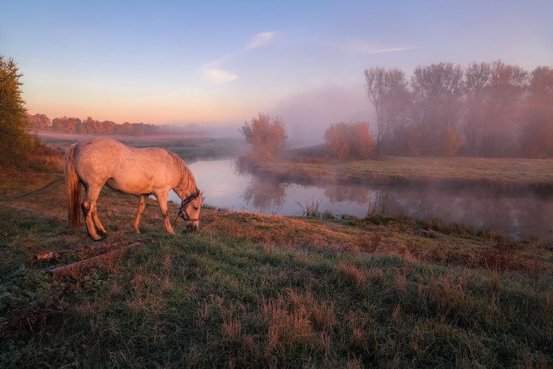 Рассветная фото превью