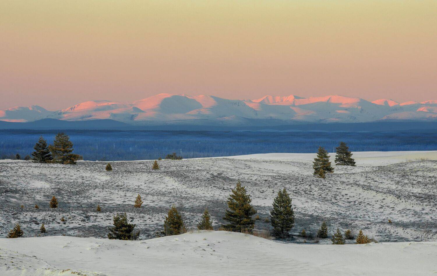 , Андрей Ершов