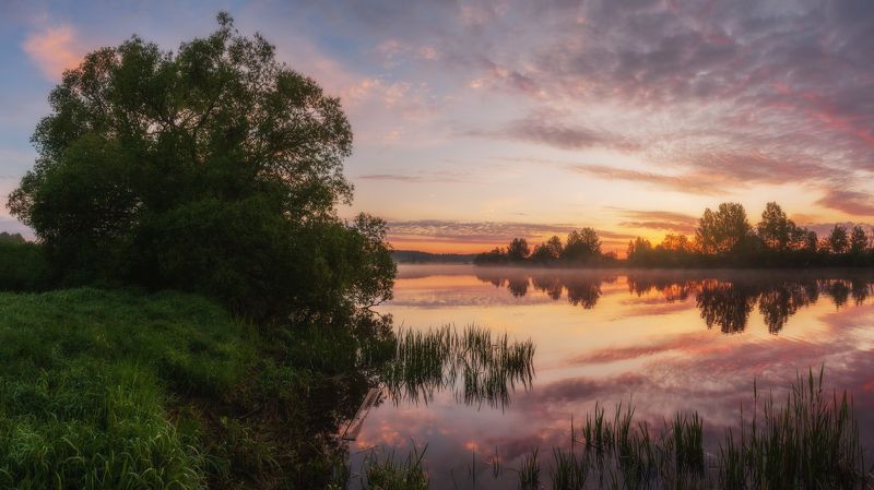 *** фото превью