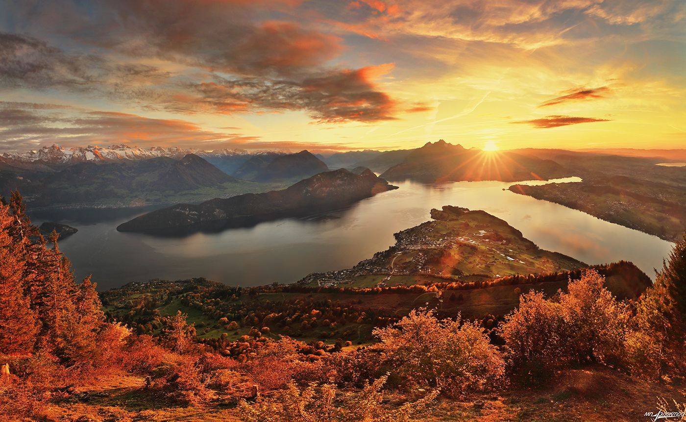 swiss, Матвеев Николай