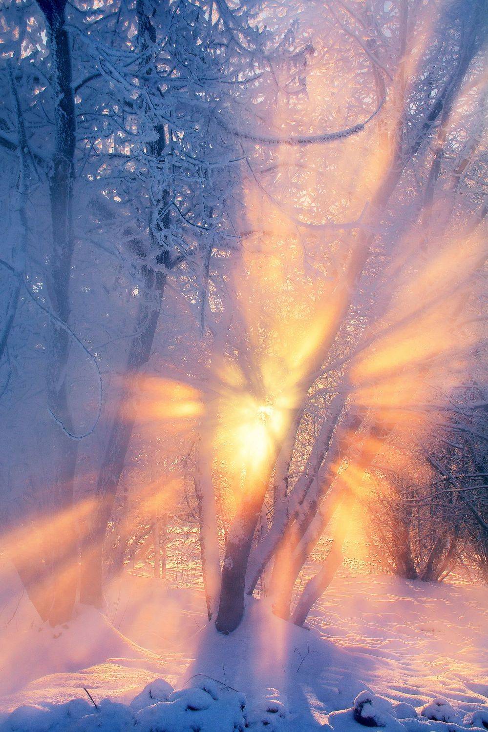 зимний пейзаж, пермь, Елена Соколова