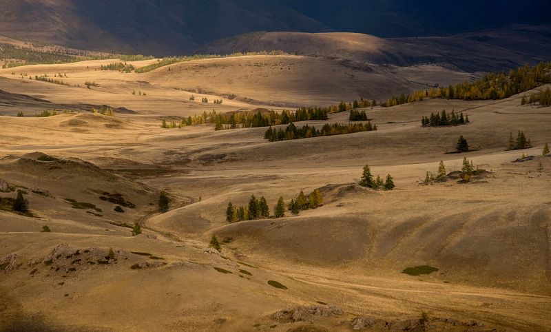 алтай, горы, altai, mountains, river, осень, что такое осень?, курай, степь, курайская степь, нд, золотой алтай нд, золотой алтай, фототур на алтай Осенний бархат Курайской степи фото превью