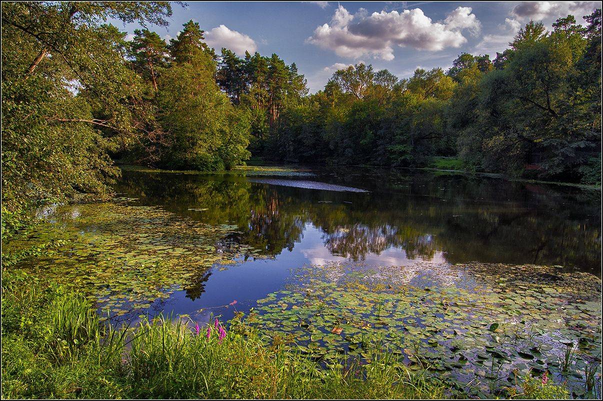 москва, осень, озеро, лес, отражение, АНАТОЛИЙ ДОВЫДЕНКО