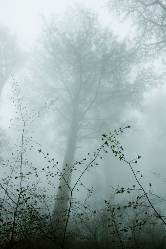 Ажур фото превью