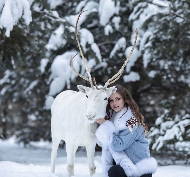девушка,олень, знакомство,зима,природа, красота, girl, beautifu, reindeer, animal, friends,winter, nature Сказочное знакомство фото превью