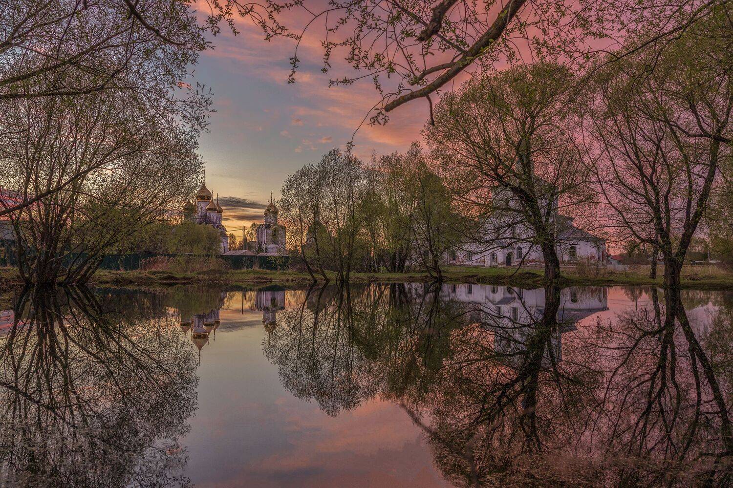 Ярославская область, Елена Гусева
