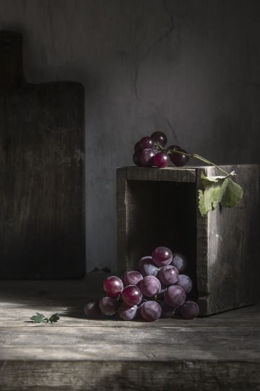 виноград, ветка, дерево Виноград фото превью