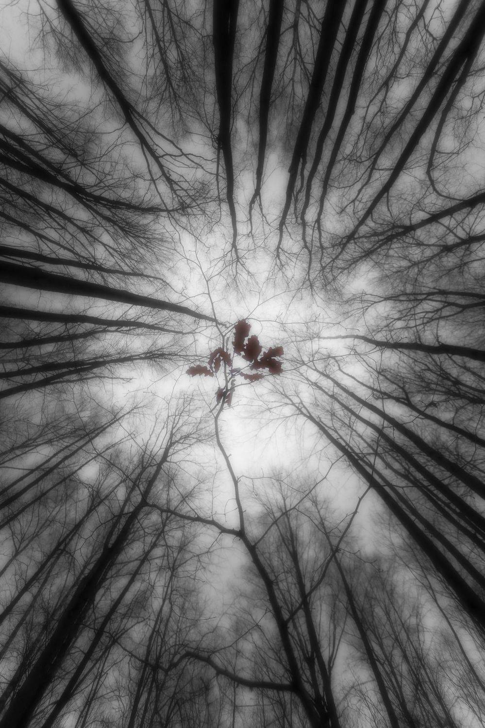 , Николай Брытков