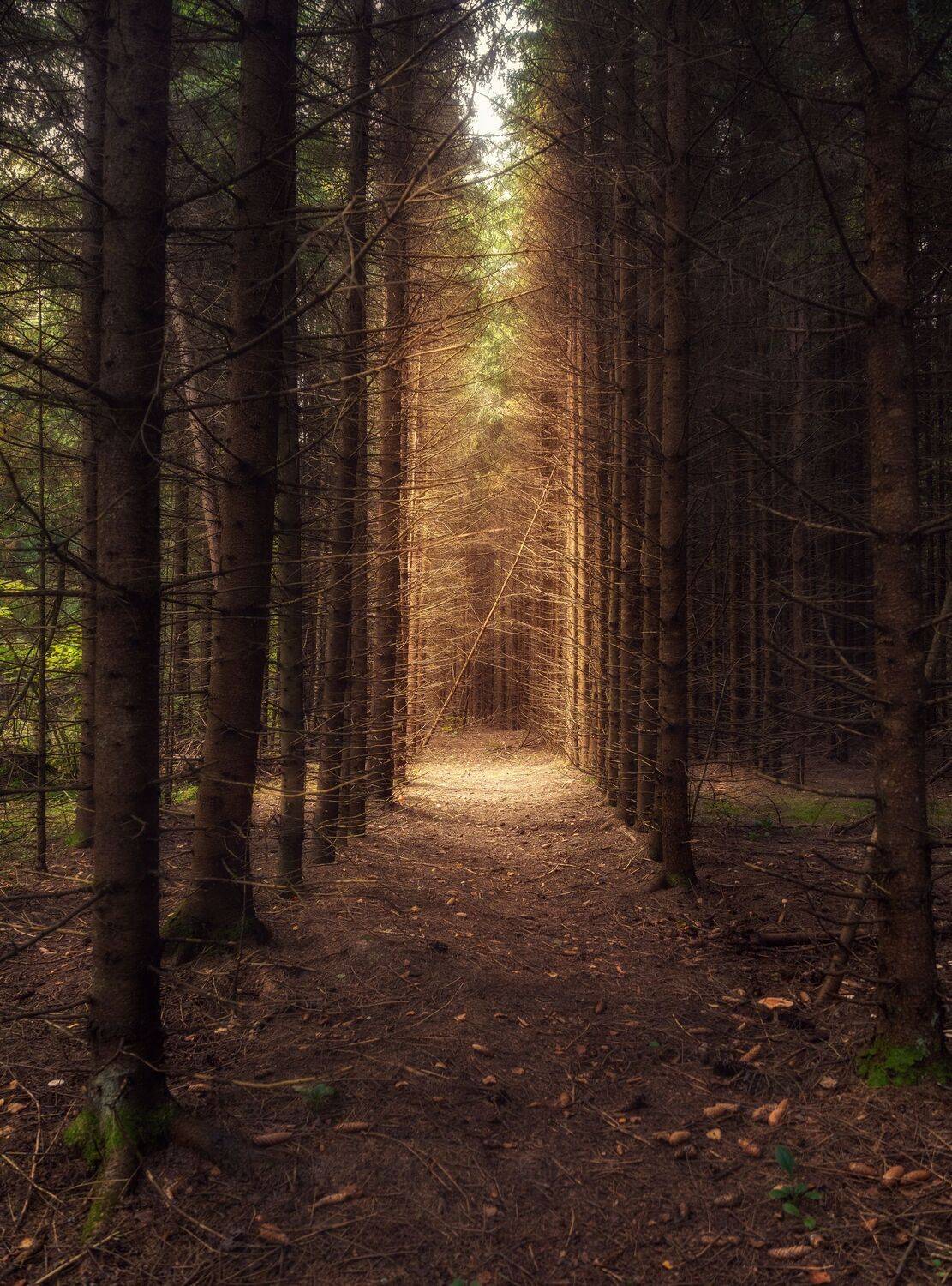 , Мозжухин Максим