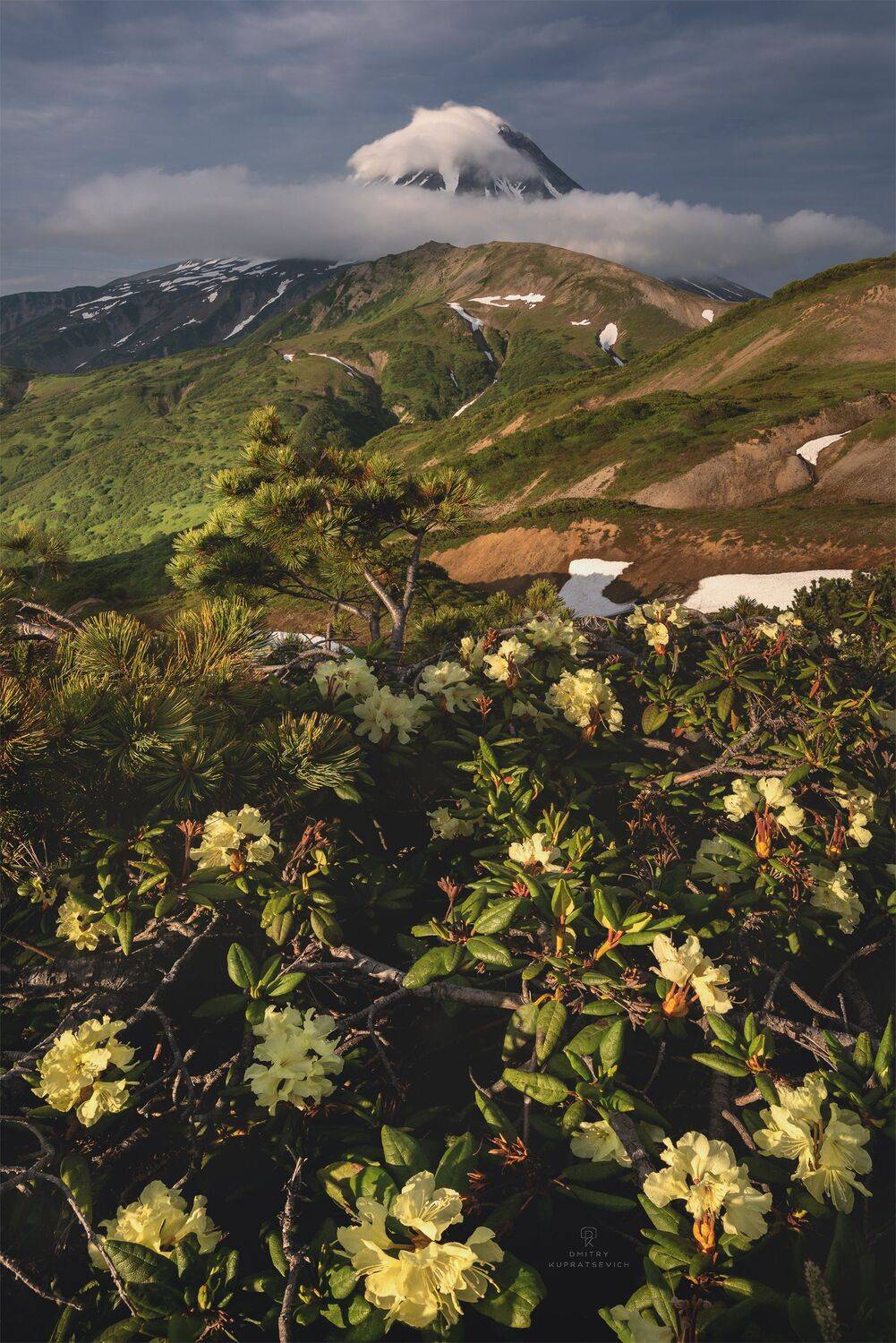 , Дмитрий Купрацевич