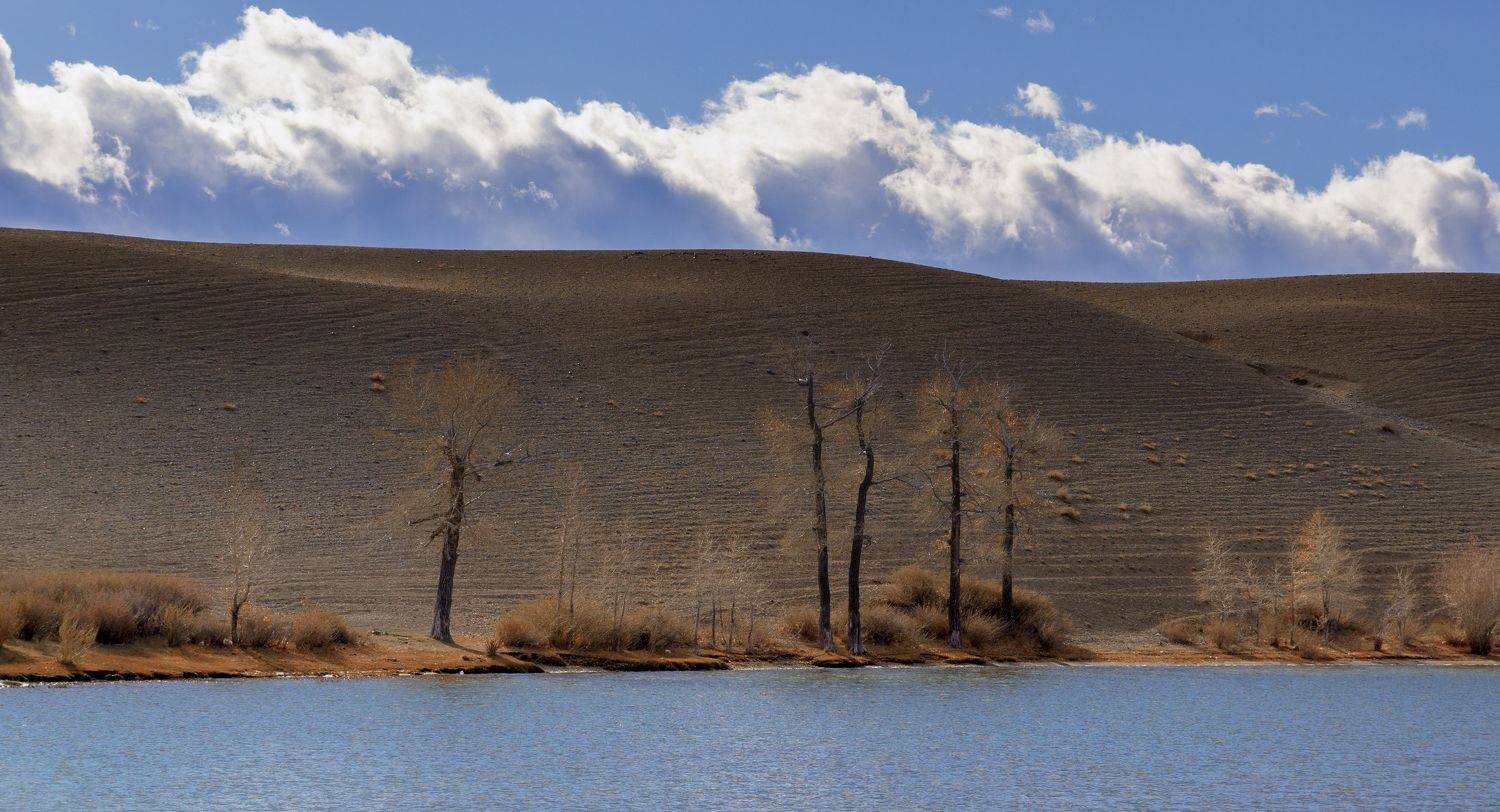 , Андрей Хаймин