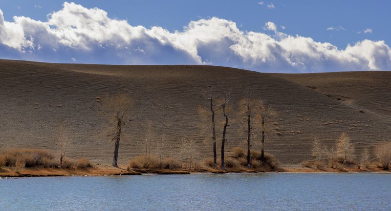 Красногорское озеро фото превью