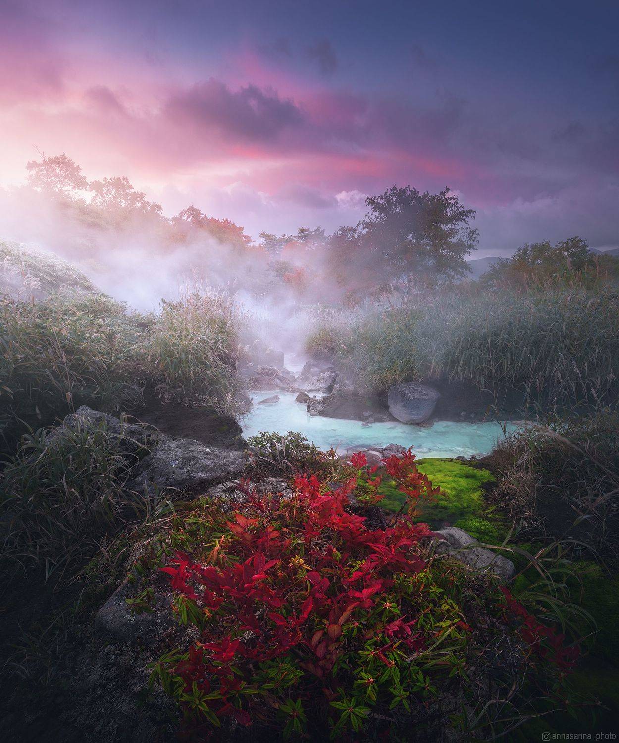 , Анна Политова