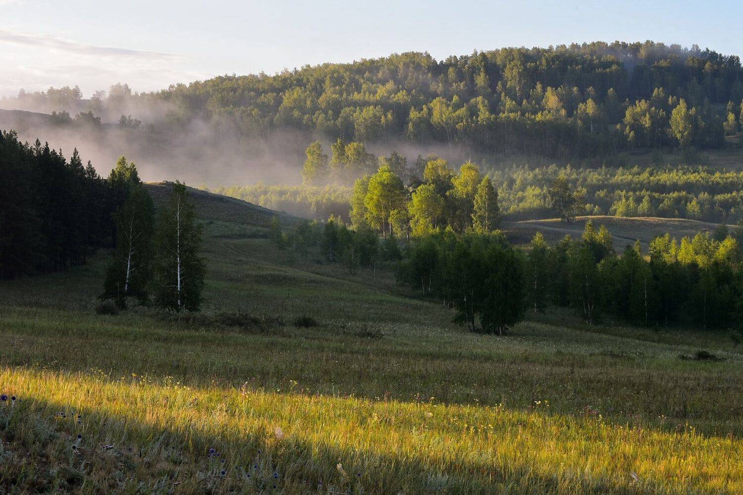 , Максим Ватрушкин