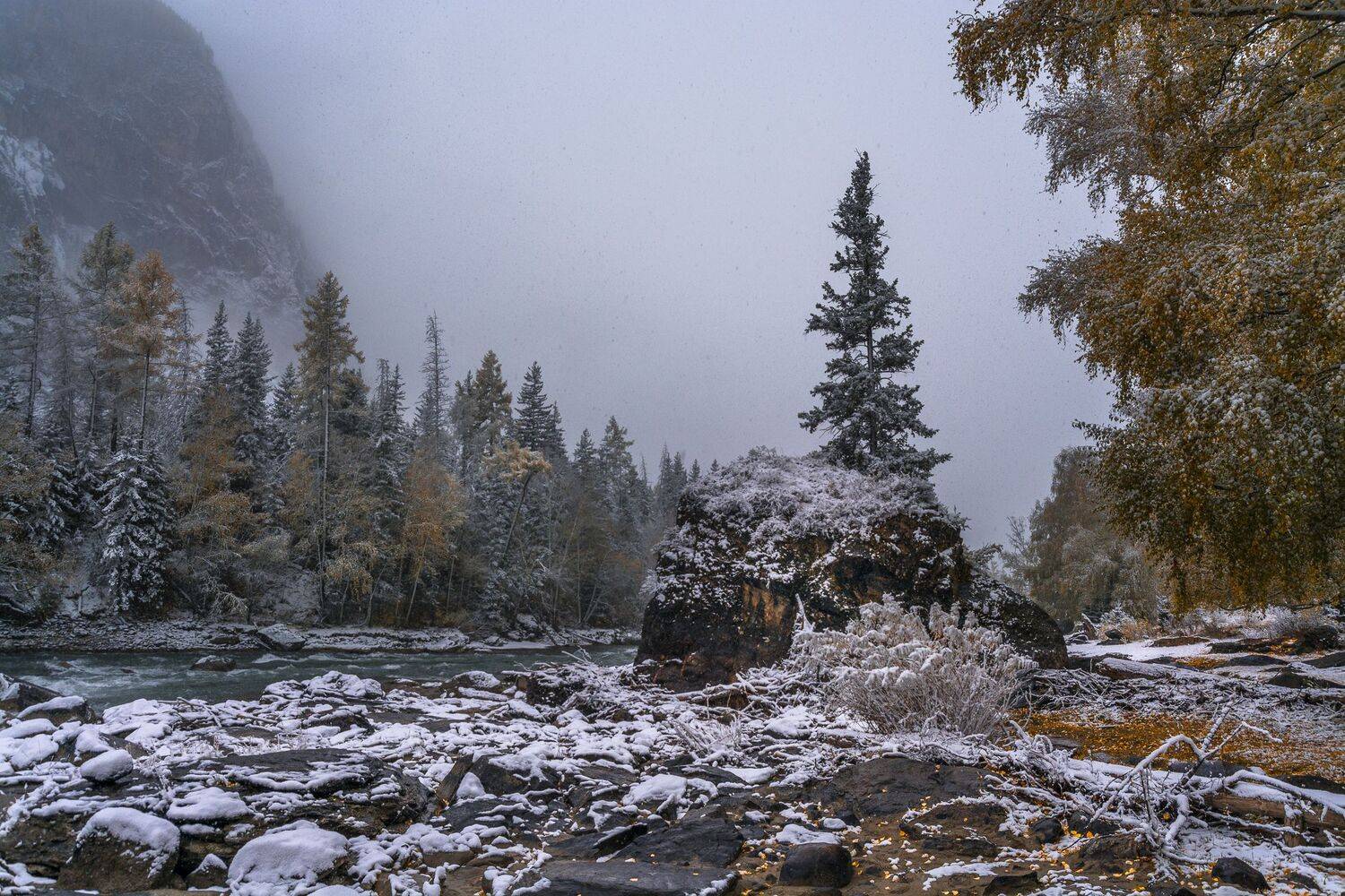 россия, горный алтай, река чуя, осень,утро,снег, Андрей Поляков