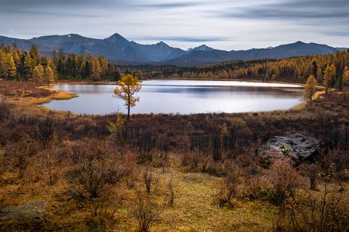 В осеннем убранстве