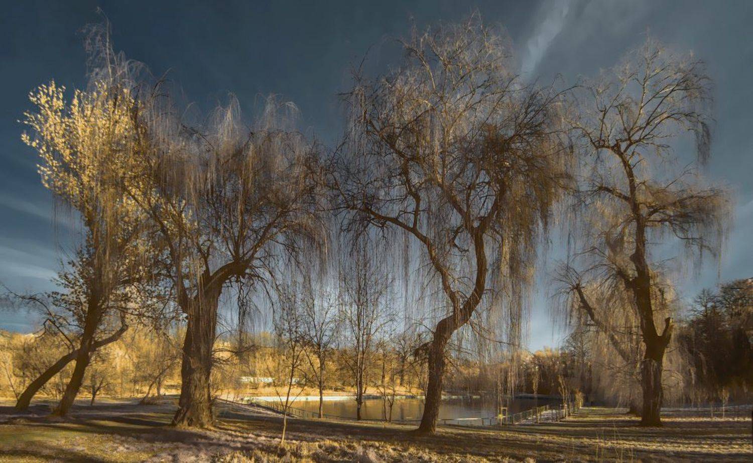 инфракрасный, ИгорьВл