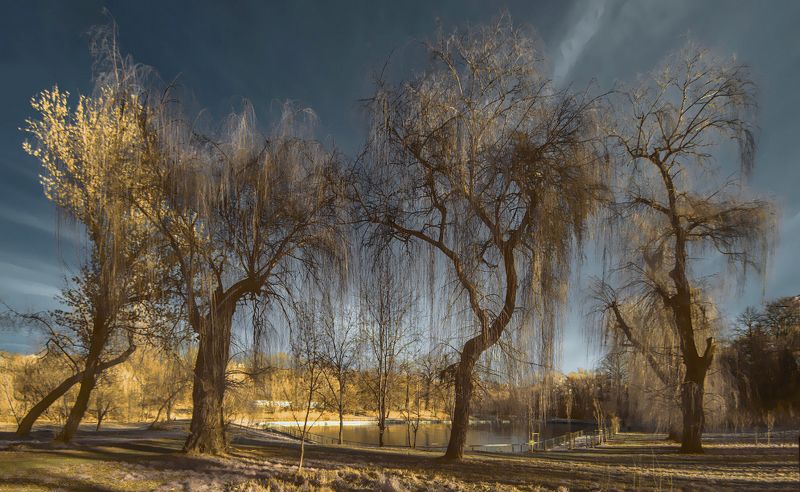 инфракрасный *** фото превью