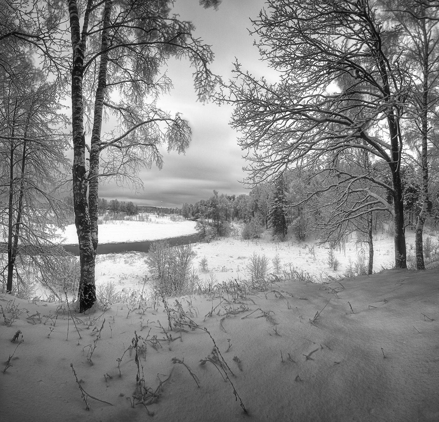 , Николай Андреев