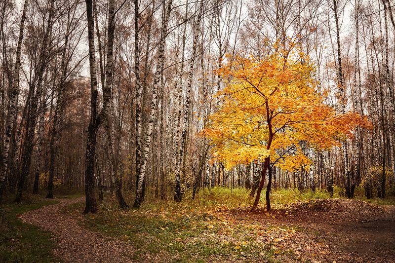 осенний вечер фото превью