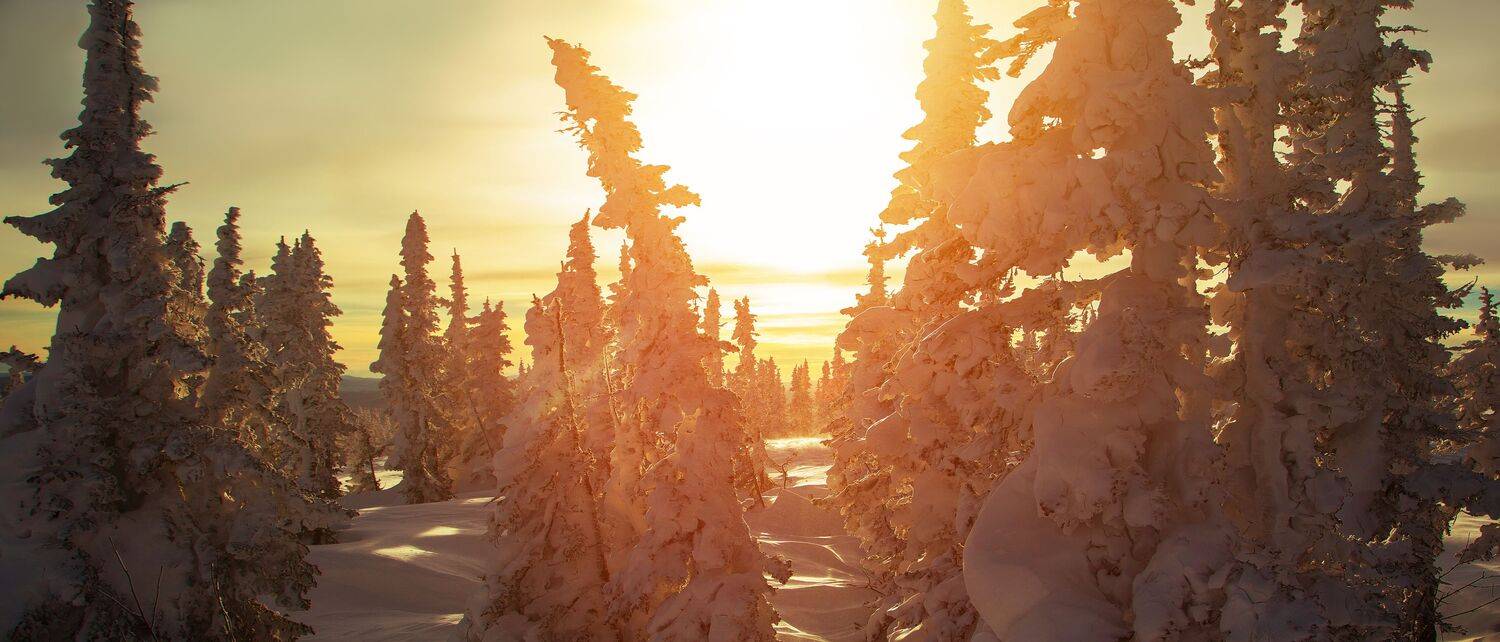 кузбасс, шерегеш, снег, зима, горы, лес, закат, солнце, пейзаж, мороз, сугробы, Художников Павел