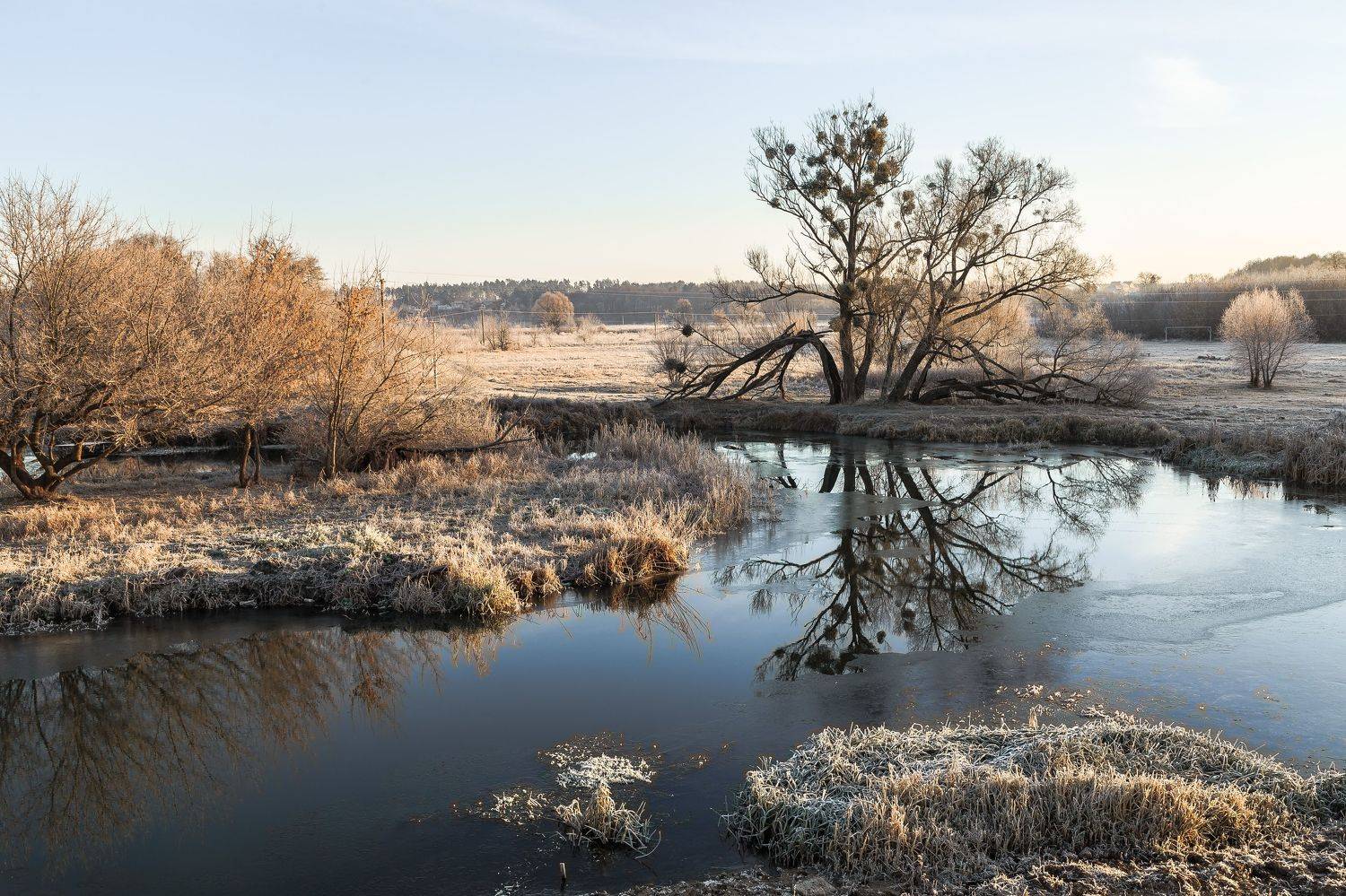 река, утро,, Андрей Косенко